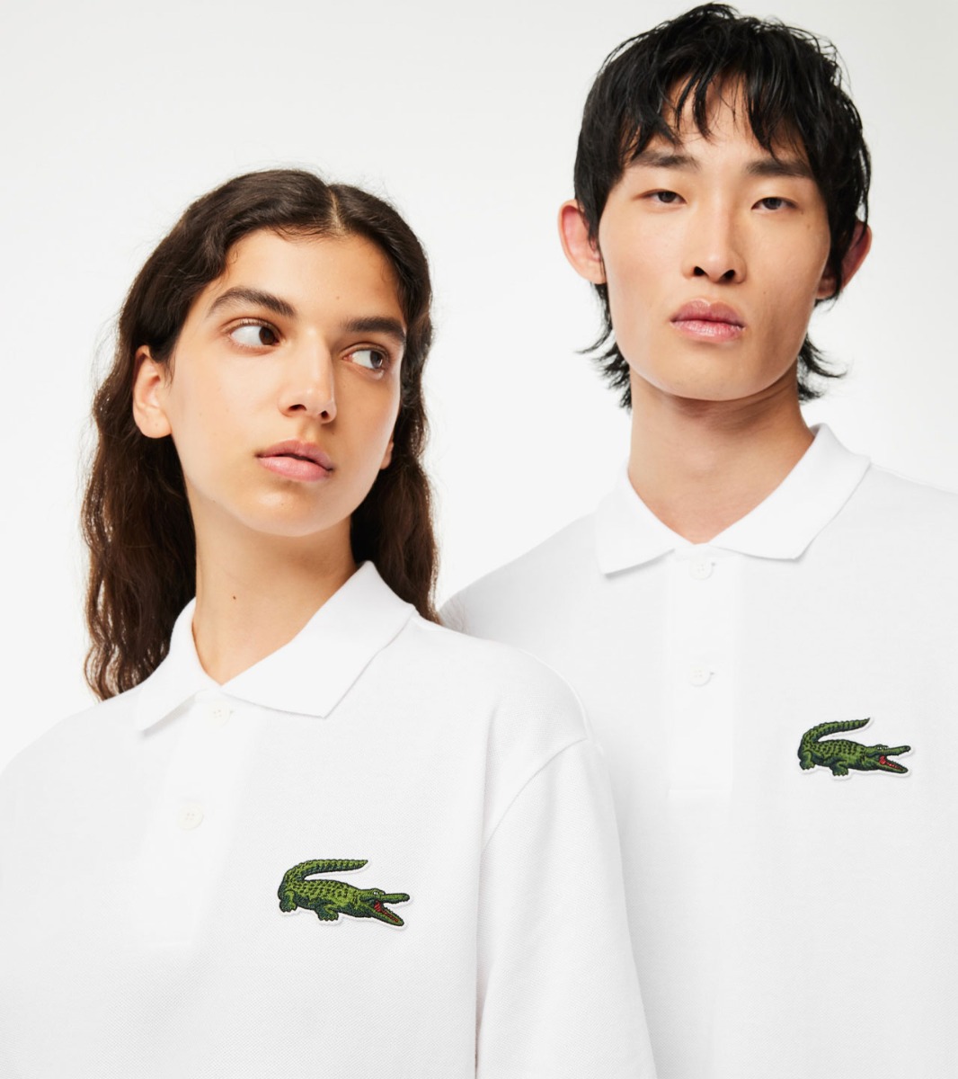 Lacoste live polo with large crocodile on sale